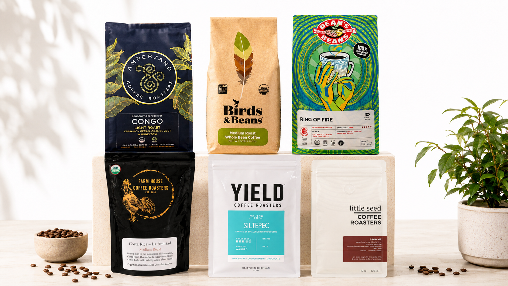 Collection of various coffee roaster bags on a light background with a plant.